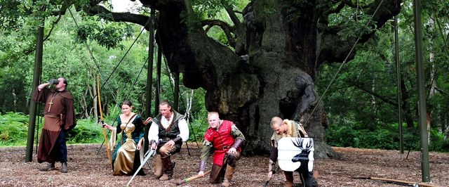 The Legendary Robin Hood Oak in Sherwood Forest Has Died