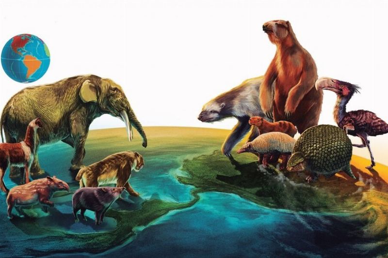 Mammals of North and South America Met Long Before the Panama Isthmus