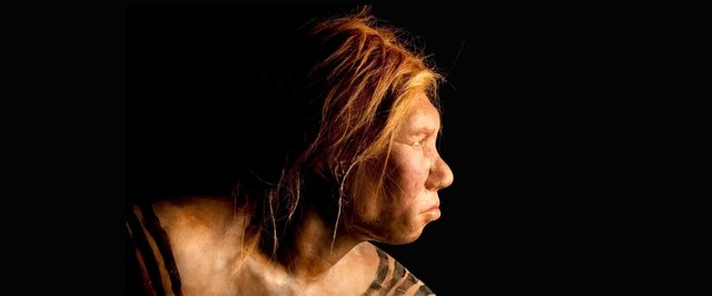 Neanderthal Infants Developed Faster Than Homo sapiens, Study Finds
