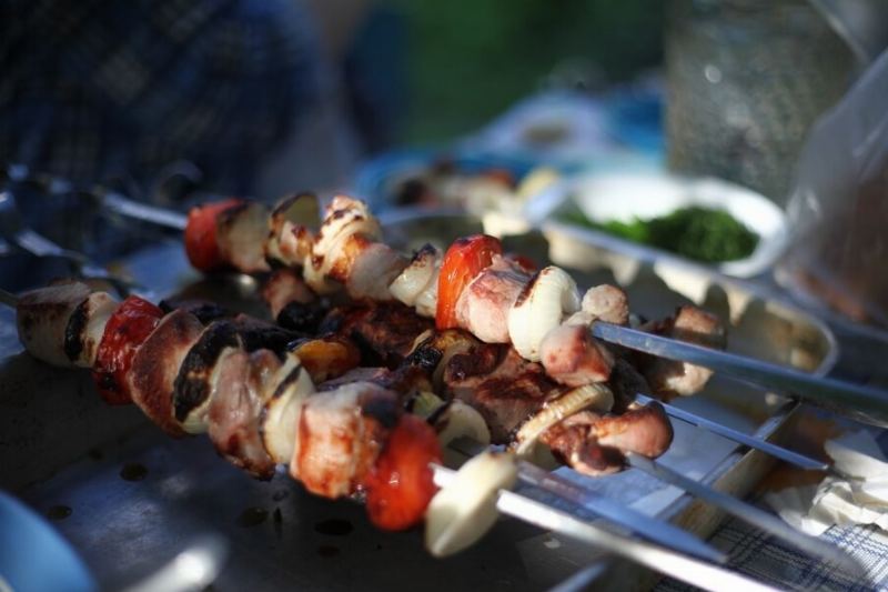 Eco Skewers: Easy Alternatives to Wood and Chemical Products for Outdoor Cooking