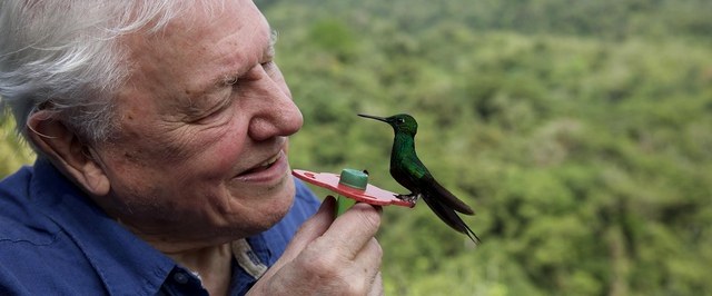 David Attenborough Celebrates 100 Years: A Legendary Naturalist
