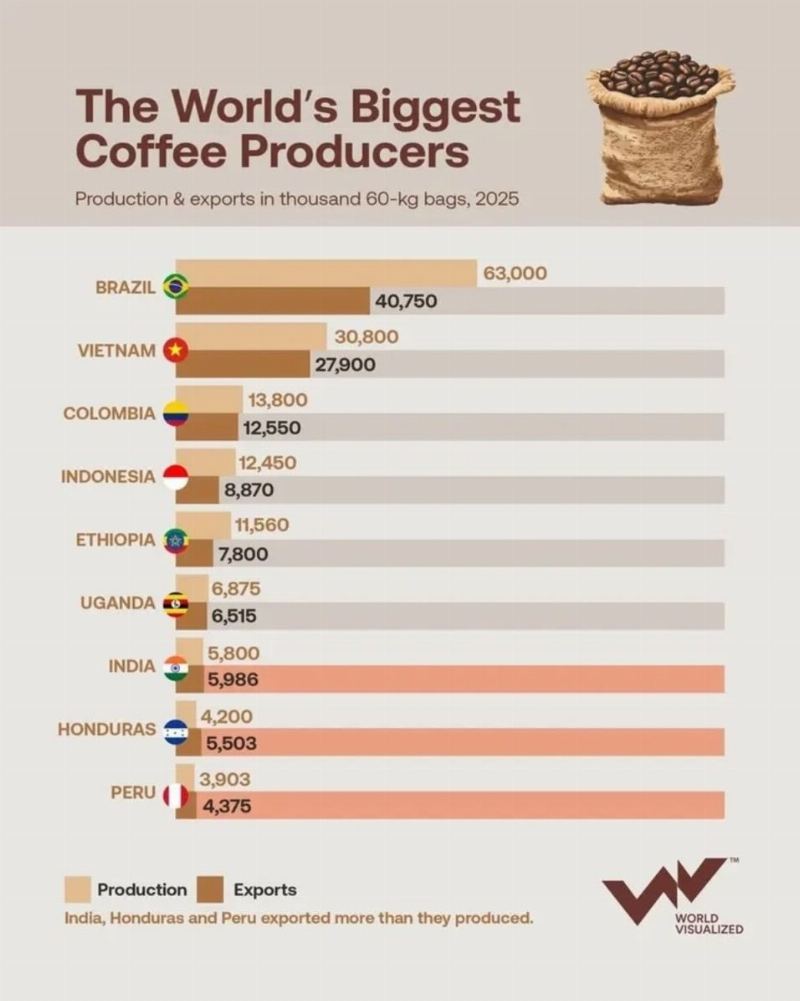 Brazil Maintains Coffee Production Leadership: 2026 Forecast