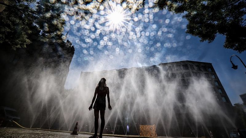 Heatwave with temperatures up to 40 °C expected in Central Europe