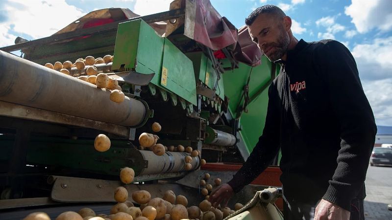 Potato Futures Surge 700% Amid Fears of War with Iran