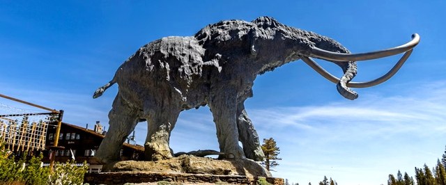 Ancient Hunters Preferred Female Mammoths for Hunting