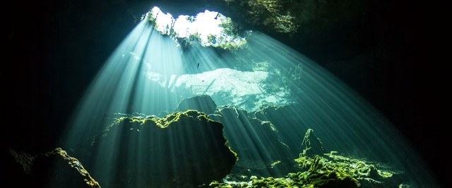 A Hidden World of Fungi Discovered Beneath the Great Lakes