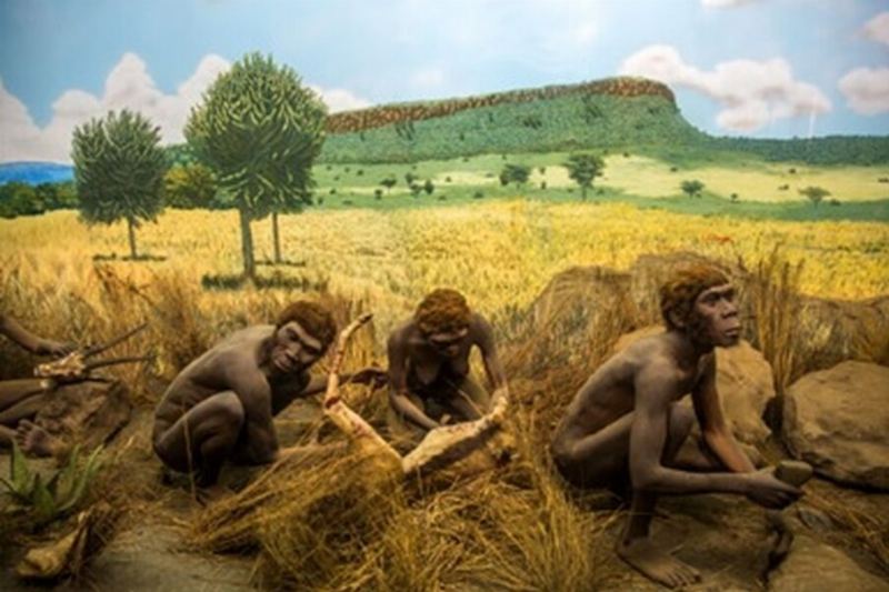 Scientists Discover Traces of Unknown Hominins in Human DNA